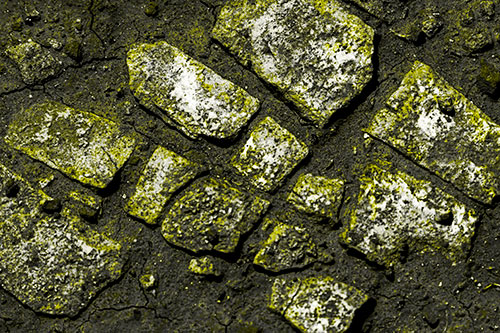 Dirt Covered Stepping Stones (Yellow Tone Photo)