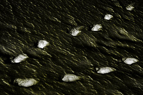 Distancing Snow Footprints (Yellow Tone)