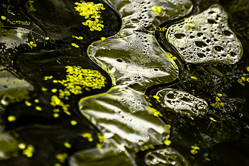 Distorted Plastic Bubble Face Floating Atop Water (Yellow Tone)