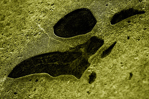 Distorted Skull Face Within Frozen Ice (Yellow Tone Photo)