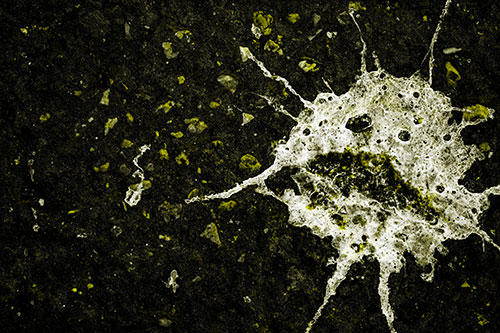 Distressed Bird Excrement Face Splattered Among Pavement (Yellow Tone)