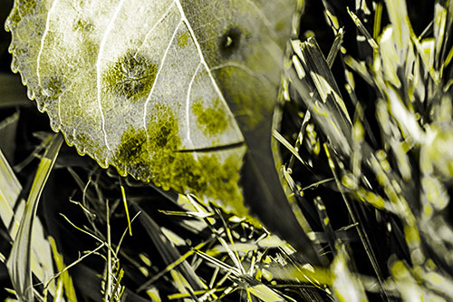 Eye Winking Shadow Smirking Leaf Face (Yellow Tone)