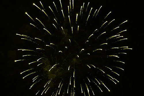 Firework Star Trails Vaporize Among Night Sky (Yellow Tone Photo)