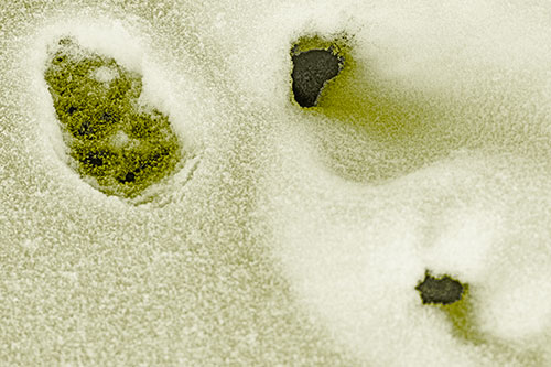 Footprint Eye Snow Face Atop Rock Surface (Yellow Tone)