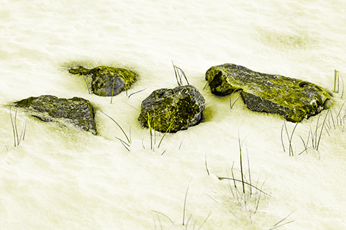 Four Big Rocks Buried In Snow (Yellow Tone Photo)