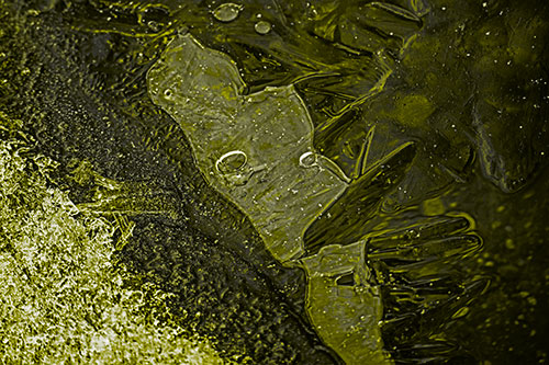Frozen Bubble Eyed Ice Face Figure Along River Shoreline (Yellow Tone Photo)