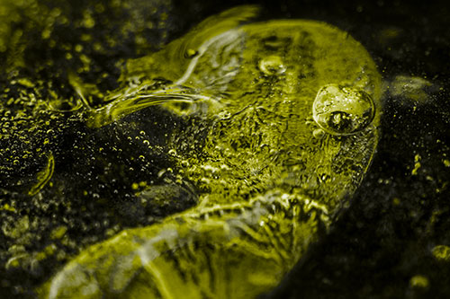 Frozen Distorted Bubble Eyed Ice Face (Yellow Tone Photo)