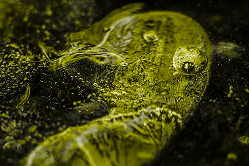 Frozen Distorted Bubble Eyed Ice Face (Yellow Tone)