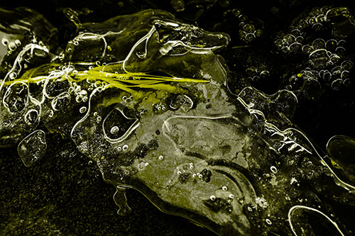 Frozen Shapeshifting Pupil Bubble Eyed Ice Face (Yellow Tone)