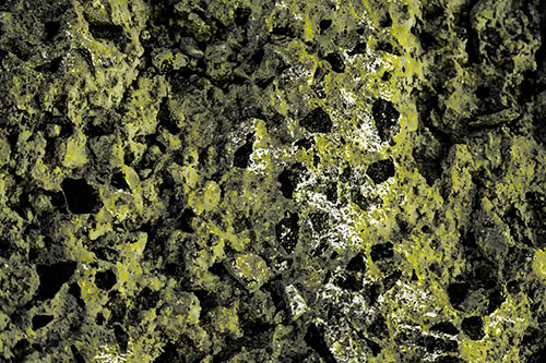 Fungi Covers Rugged Surfaced Stone (Yellow Tone Photo)