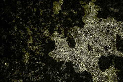 Furious Screaming Ice Face Melting Among Pavement (Yellow Tone)