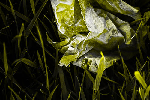 Grease Stained Demon Faced Taco Bell Wrapper (Yellow Tone)