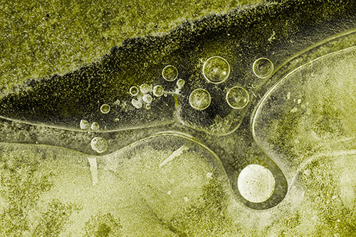 Ice Bubbles Among Frozen Soil Crevice (Yellow Tone)