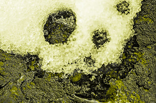 Ice Skull Snow Face Melting Atop Rock (Yellow Tone Photo)