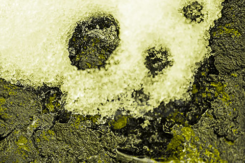 Ice Skull Snow Face Melting Atop Rock (Yellow Tone)
