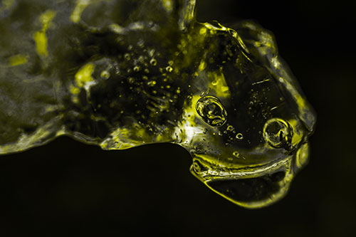 Joyful Frozen Bubble Eyed River Ice Face Creature (Yellow Tone Photo)
