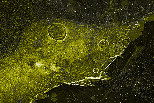 Large Headed Bubble Eyed Ice Face Frozen Among River (Yellow Tone)
