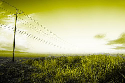 Powerlines Descend Among Foggy Prairie (Yellow Tone Photo)