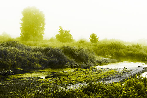 River Flowing Along Foggy Vegetation (Yellow Tone Photo)