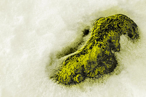 Rock Emerging From Melting Snow (Yellow Tone Photo)