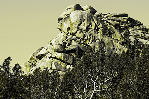 Rock Formations Rising Above Treeline (Yellow Tone Photo)