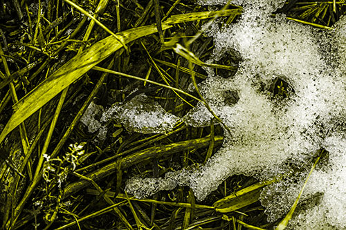 Sad Mouth Melting Ice Face Creature Among Soggy Grass (Yellow Tone Photo)