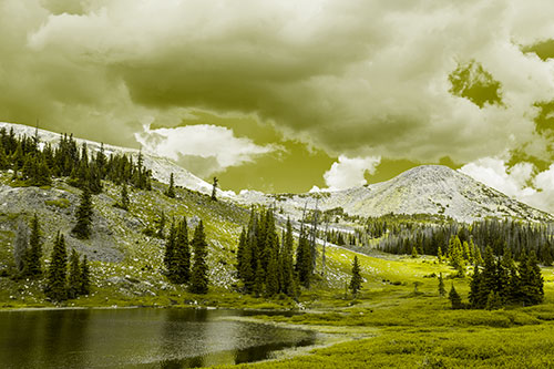 Scattered Trees Along Mountainside (Yellow Tone)