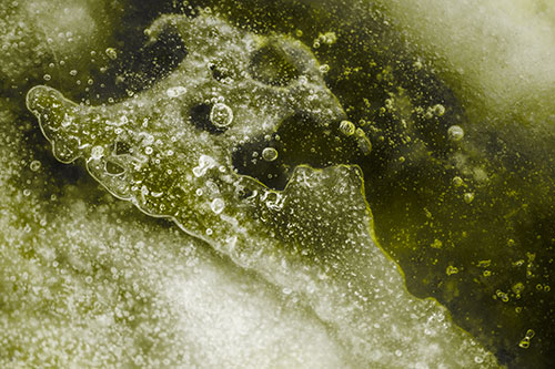 Screaming Submerged Bubble Face Creature Among Icy River (Yellow Tone)