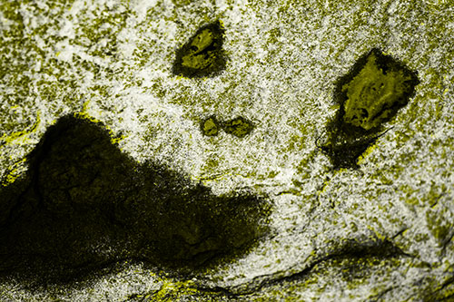 Shocked Puddle Face Drying Among Rock Surface (Yellow Tone Photo)
