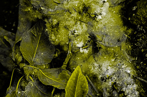 Smiling Cotton Stick Face Among Fallen Leaves (Yellow Tone)