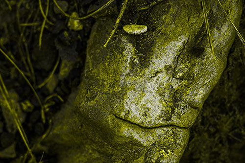 Smirking Battered Rock Face (Yellow Tone Photo)
