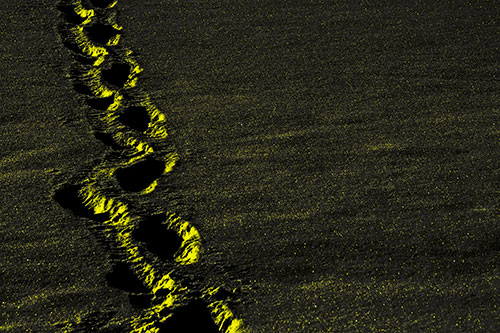 Snow Footprints Across Frozen Lake (Yellow Tone Photo)
