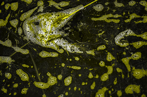 Stick Impales River Bubble Face Through Eye (Yellow Tone Photo)