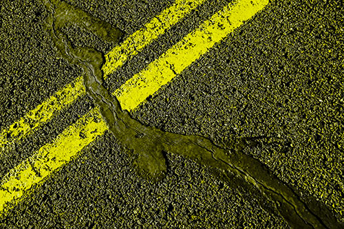 Tar Creeping Over Sidewalk Pavement Lane Marks (Yellow Tone Photo)