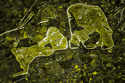 Translucent Frozen Big Eyed Alien Ice Bubble Figure Atop River (Yellow Tone Photo)