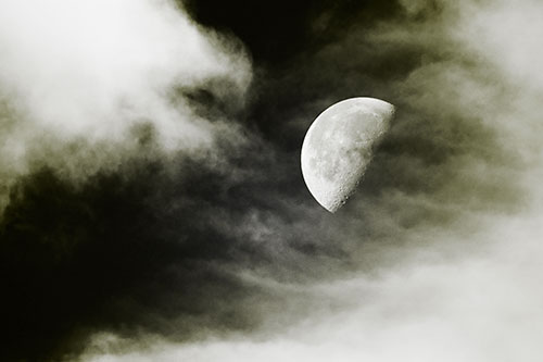 Upside Down Creature Cloud Moon Gazing (Yellow Tone Photo)