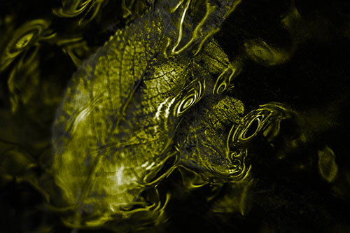 Water Ripple Faced Leaf In Submerged Trance (Yellow Tone)
