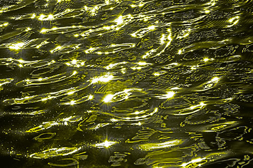 Water Ripples Sparkling Among Sunlight (Yellow Tone Photo)