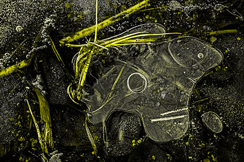 Wide Eyed Bubble Ice Face Looking Downward (Yellow Tone)