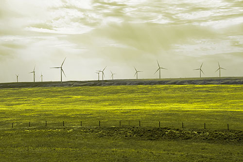Wind Turbines Scattered Along The Prairie Horizon (Yellow Tone Photo)