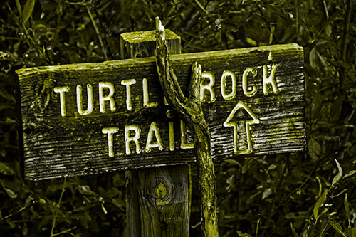 Wooden Turtle Rock Trail Sign (Yellow Tone Photo)